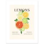 fa0dd504-ea8e-4e6b-8f68-8b4c201b270a