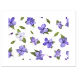 fa209a1d-29c9-4fbc-832c-22bff4831198