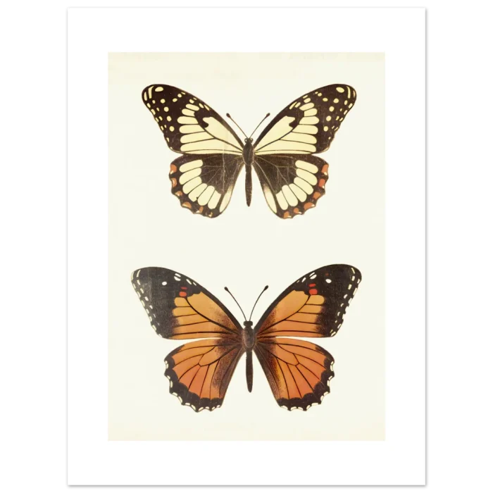 fa2c4d6c-afeb-40fb-adc7-62302fb08b10