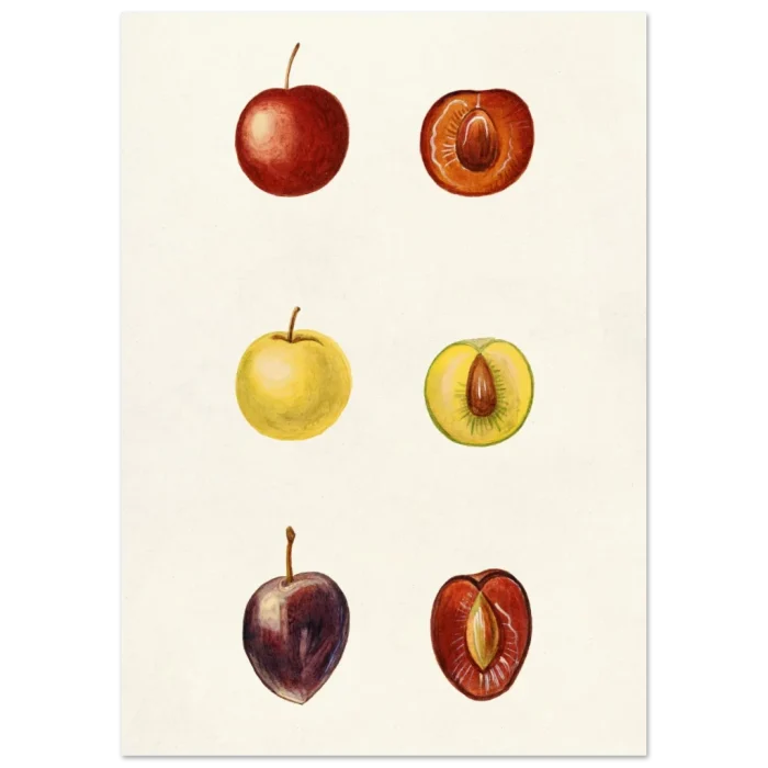 fb13425e-50bf-409d-b312-4e68fa9f68e4