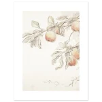 fb191de6-a8ea-422b-b50b-51d9c8e7944f