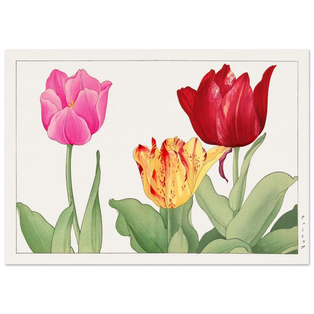 fba18160-1b11-4a4a-86c2-6f07b208f614.webp fba18160-1b11-4a4a-86c2-6f07b208f614