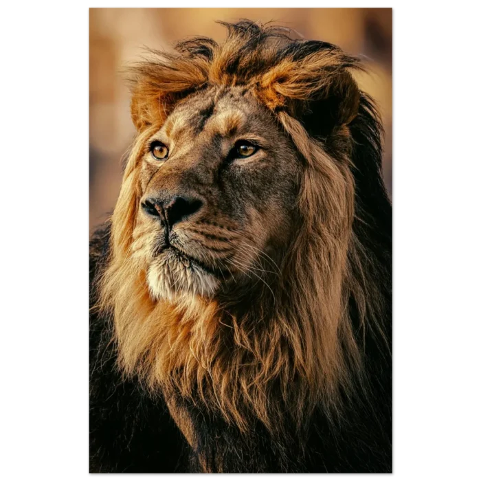 fbba5dc6-5d65-41b0-9973-834eb3185cfb