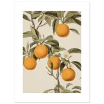 fcc2b87a-3134-46d3-85f7-040ec3acb29b