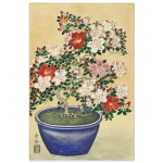 ff0ca032-c553-43b4-a48a-f05ea9c6de46